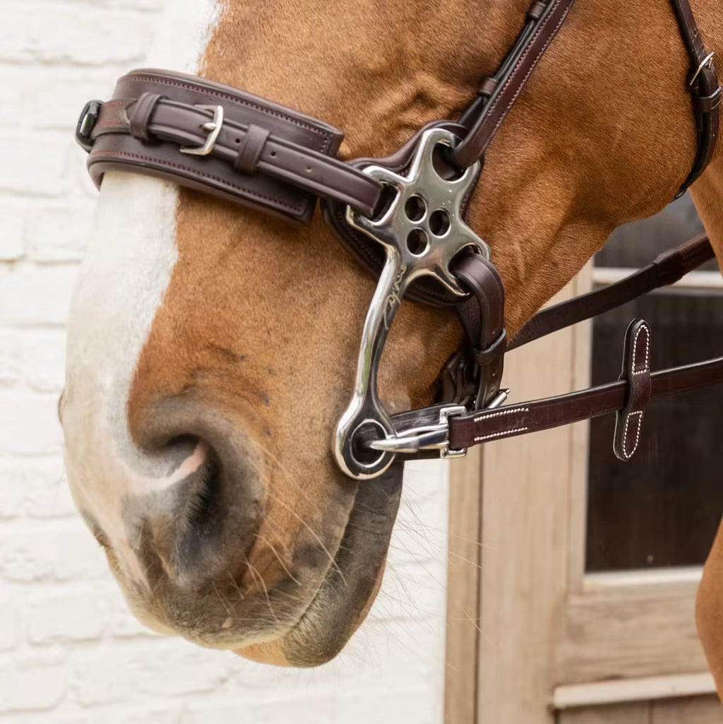 Dyon 16mm Rubber Reins w/ Leather Loops and Snap - Løwenborg - Dy'on