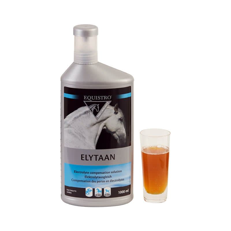 Equistro Elytaan - Løwenborg - Equistro