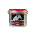 Equistro B - Carotin - Løwenborg - Equistro