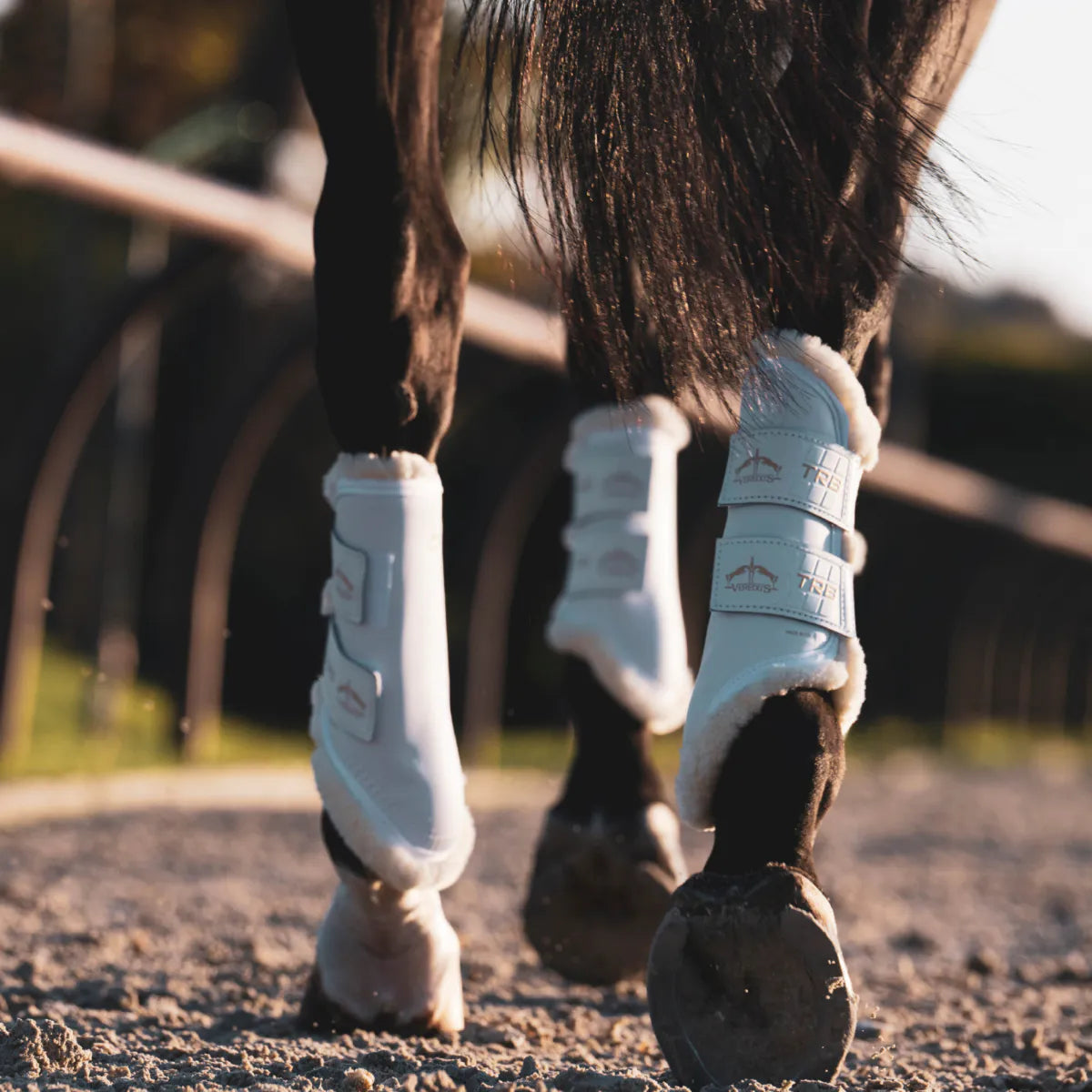 Veredus TRB STS Front