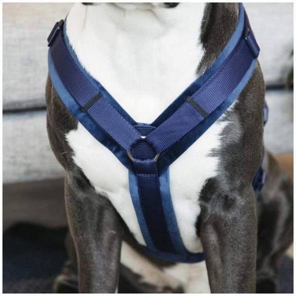 KENTUCKY DOGWARE DOG HARNESS ACTIVE VELVET - Bilde 6