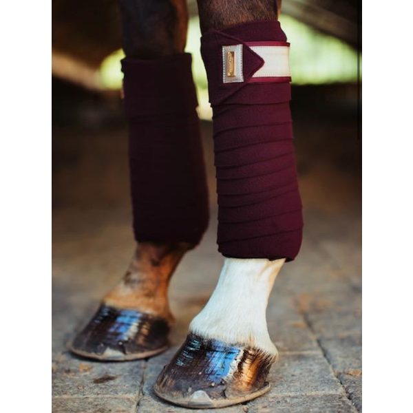 EQUESTRIAN STOCKHOLM POLOS MERLOT CRYTAL GOLD - Bilde 2