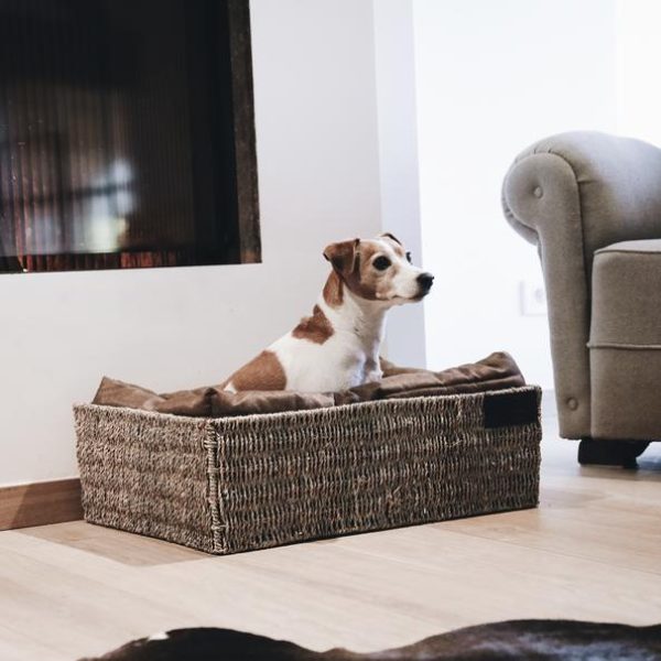 KENTUCKY DOGWARE DOG BED BASKET LARGE - Bilde 2