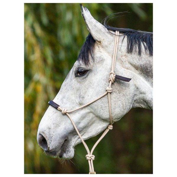 Dyon Soft Leather Head Collar Working By Dyon