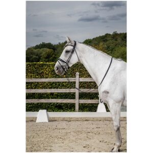 Dyon Patent Large Crank Noseband Bridle With White Padding And Flash Rond Leather Collection