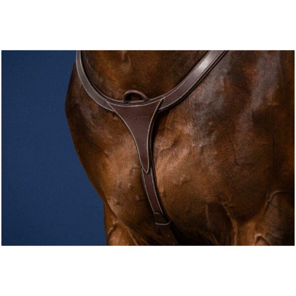 Dyon Long Bridge Breastplate US Collection - Bilde 5