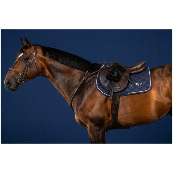 Dyon Bridge Breastplate US Collection - Bilde 5