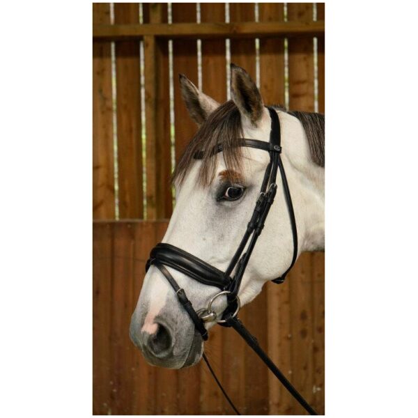 Dyon Matte Large Crank Noseband Bridle With Flash Working By Dyon - Bilde 3