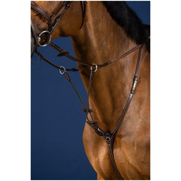 Dyon Elastic Running Martingale Attachment US Collection - Bilde 2