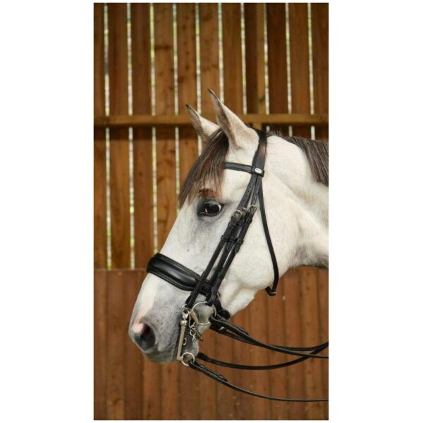 Dyon Matte Large Crank Noseband Double Bridle Working By Dyon - Bilde 4