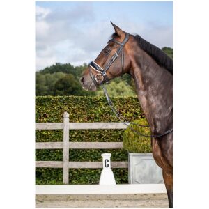 Dyon Patent Large Crank Noseband Bridle With White Padding And Flash New English Collection xxdc