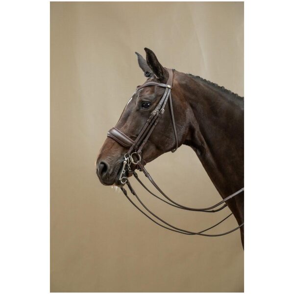 Dyon Matte Large Crank Noseband Double Bridle Working By Dyon - Bilde 3