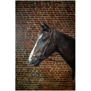 Dyon Rope Drop Noseband Bridle D Collection