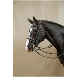 Dyon Patent Large Crank Noseband With White Padding Double Bridle Working By Dyon