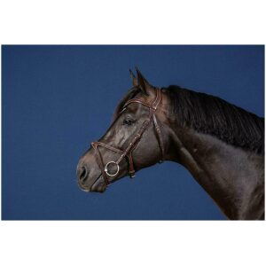 Dyon X-Fit Bridle US Collection