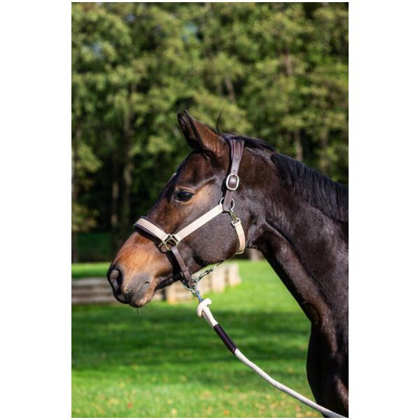 Dyon Traveling Head Collar La Cense - Bilde 7