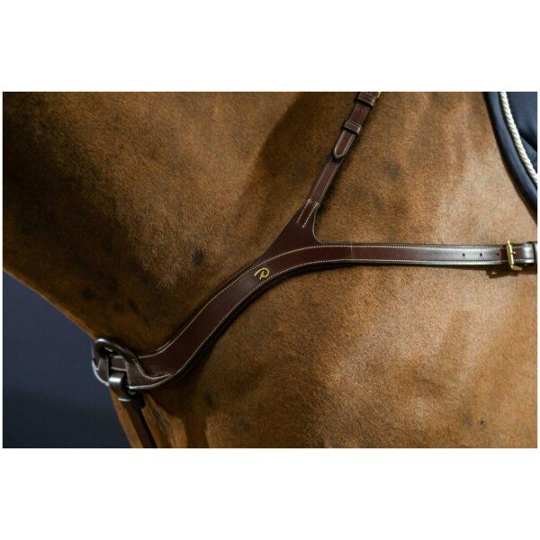 Dyon Anatomical Breastplate D Collection - Bilde 4