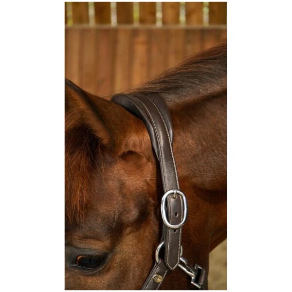 Dyon Soft Leather Head Collar Working By Dyon - Bilde 3