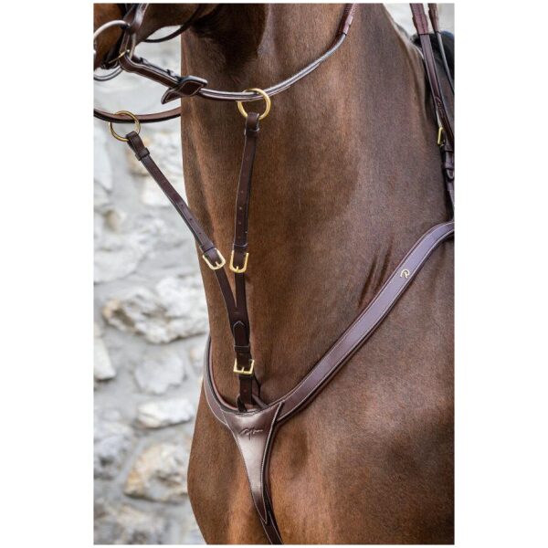 Dyon Running Martingale Attachment D Collection - Bilde 2