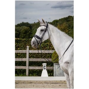 Dyon Matte Large Crank Noseband Bridle With Flash Rond Leather Collection