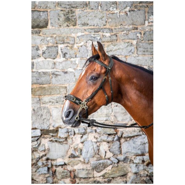 Dyon Hackamore Bridle D Collection - Bilde 3