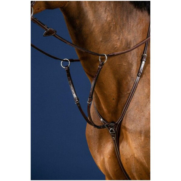 Dyon Running Martingale Attachment New English Collection xx dobbel - Bilde 3