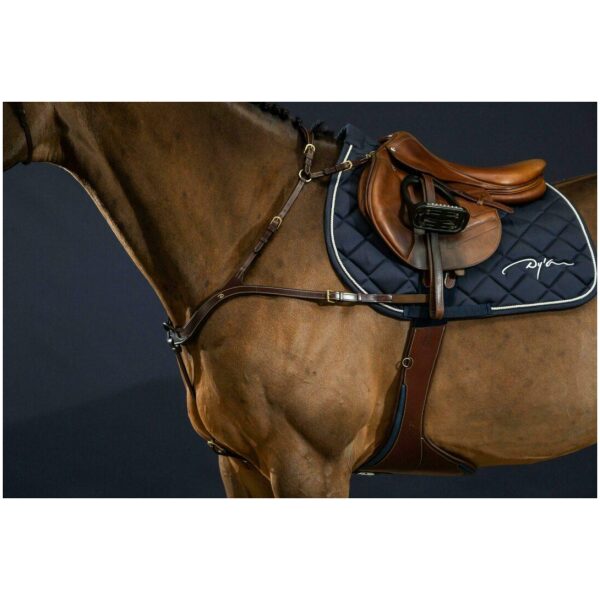 Dyon Anatomical Breastplate D Collection - Bilde 5