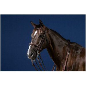 Dyon Flash Noseband Double Bridle US Collection