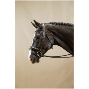 Dyon Matte Large Crank Noseband Bridle With Flash Working By Dyon