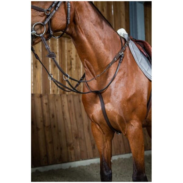 Dyon Running Martingale Working By Dyon