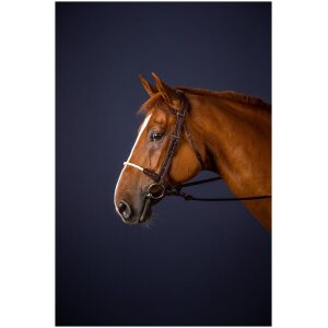 Dyon Rope Noseband Bridle New English Collection