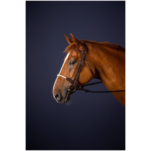 Dyon Rope Noseband Bridle New English Collection - Bilde 2