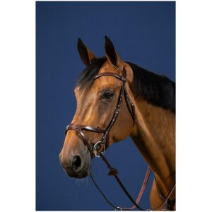 Dyon X-Fit Bridle New English Collection