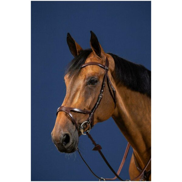 Dyon X-Fit Bridle New English Collection - Bilde 2