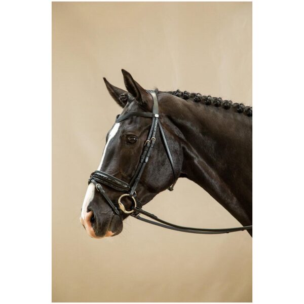 Dyon Patent Large Crank Noseband Bridle With Flash Working By Dyon - Bilde 5