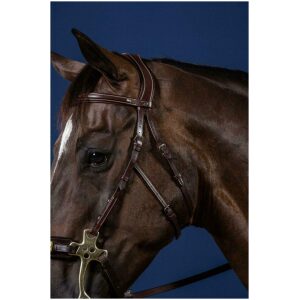 Dyon Hackamore Bridle US Collection