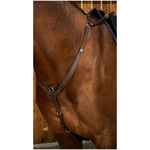 Dyon Bridge Breastplate Working By Dyon - Bilde 4