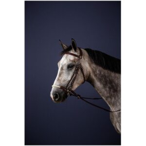 Dyon Rope Drop Noseband Bridle New English Collection