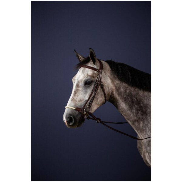 Dyon Rope Drop Noseband Bridle New English Collection - Bilde 2