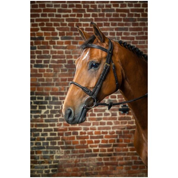 Dyon Leather Covered Rope Noseband Bridle D Collection - Bilde 3