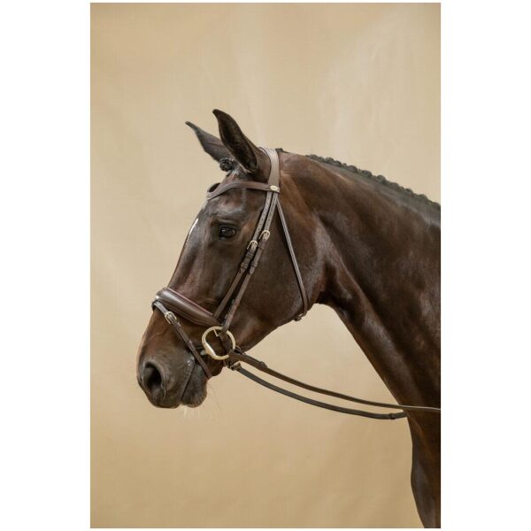 Dyon Matte Large Crank Noseband Bridle With Flash Working By Dyon - Bilde 4