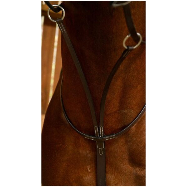 Dyon Running Martingale Working By Dyon - Bilde 2