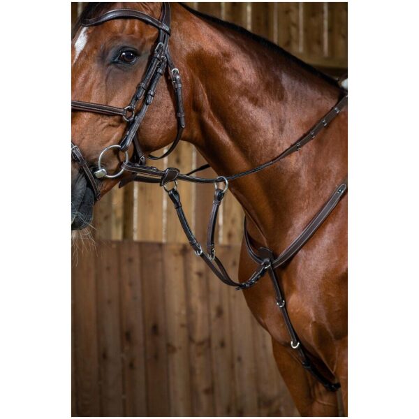 Dyon Running Martingale Attachment Working By Dyon - Bilde 3