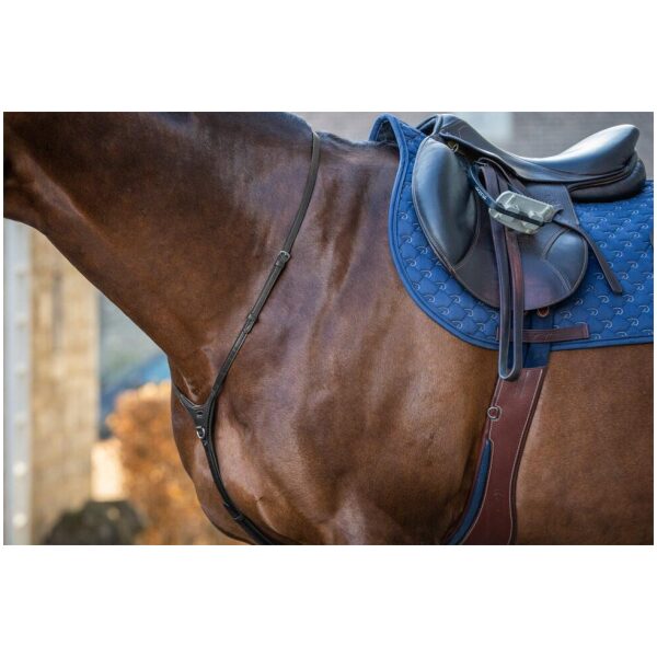 Dyon Yoke New English Collection - Bilde 4