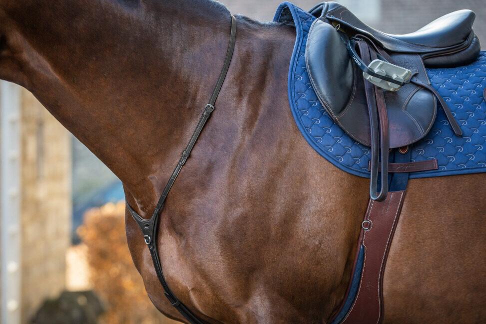 Dyon Yoke New English Collection - Bilde 4