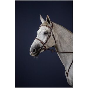 Dyon Leather Covered Rope Noseband Bridle New English Collection