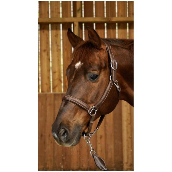 Dyon Soft Leather Head Collar Working By Dyon - Bilde 4