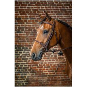 Dyon Leather Covered Rope Noseband Bridle D Collection