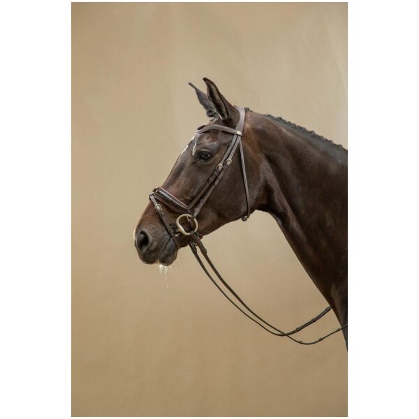 Dyon Patent Large Crank Noseband Bridle With Flash Working By Dyon - Bilde 4