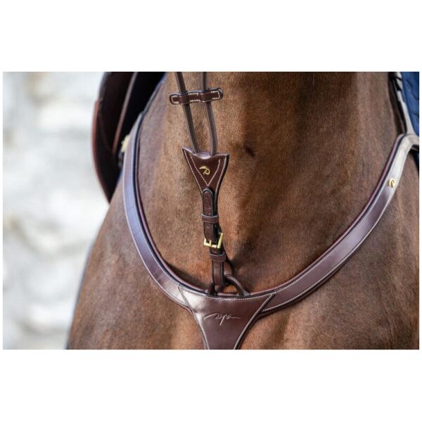 Dyon Elastic Running Martingale Attachment D Collection - Bilde 2